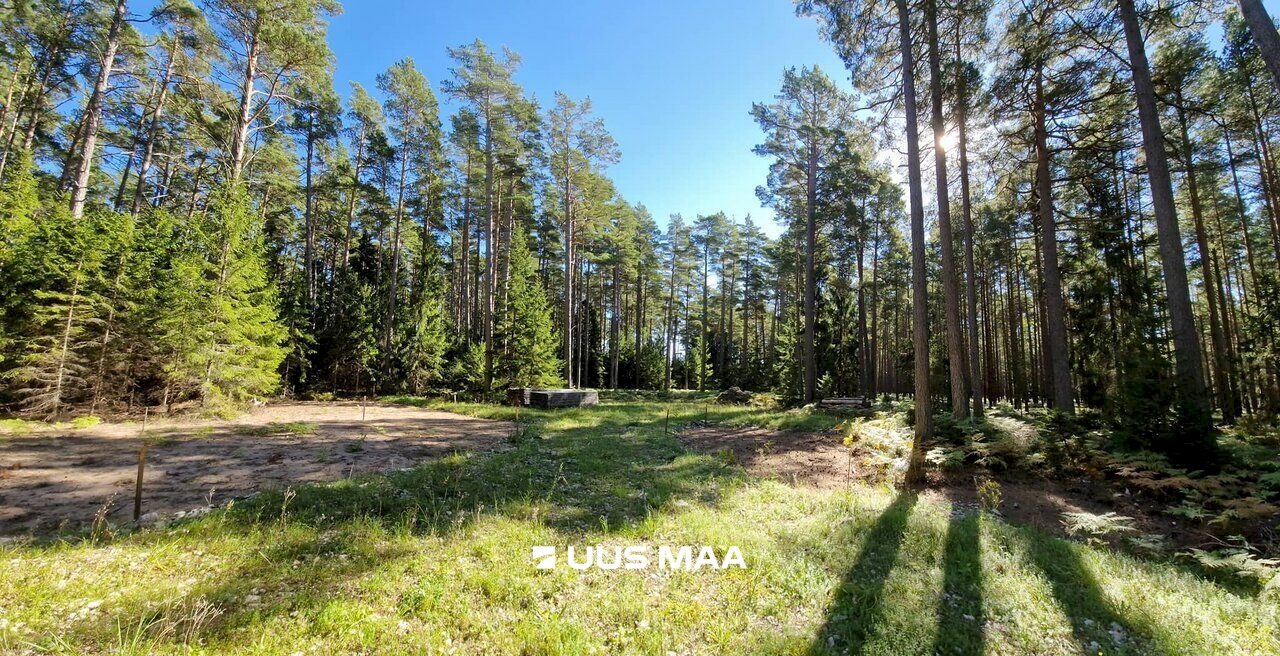 Hiiumaa vald, Kalana küla, Taga-Puumetsa