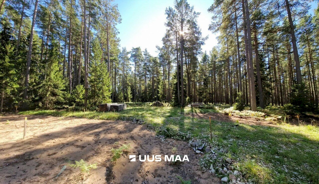 Hiiumaa vald, Kalana küla, Taga-Puumetsa