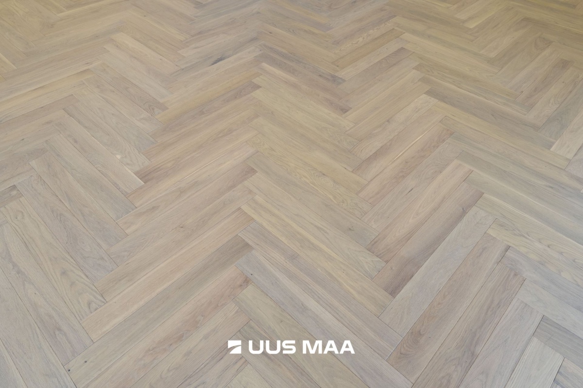 Tori vald, Nurme küla, Köömne tn 4