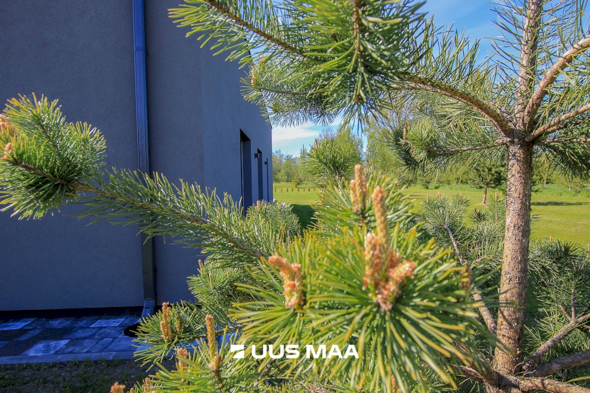 Tori vald, Nurme küla, Köömne tn 4