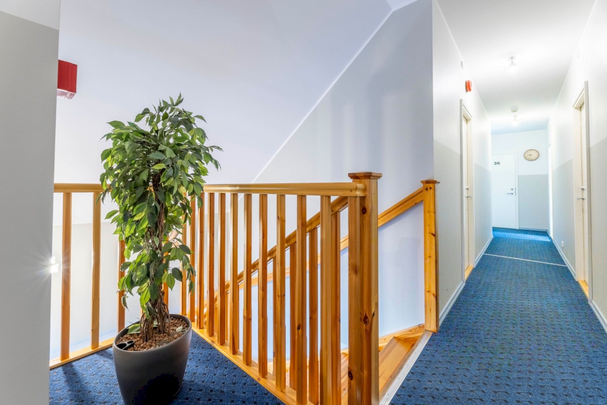 Rakvere linn, Tallinna 49