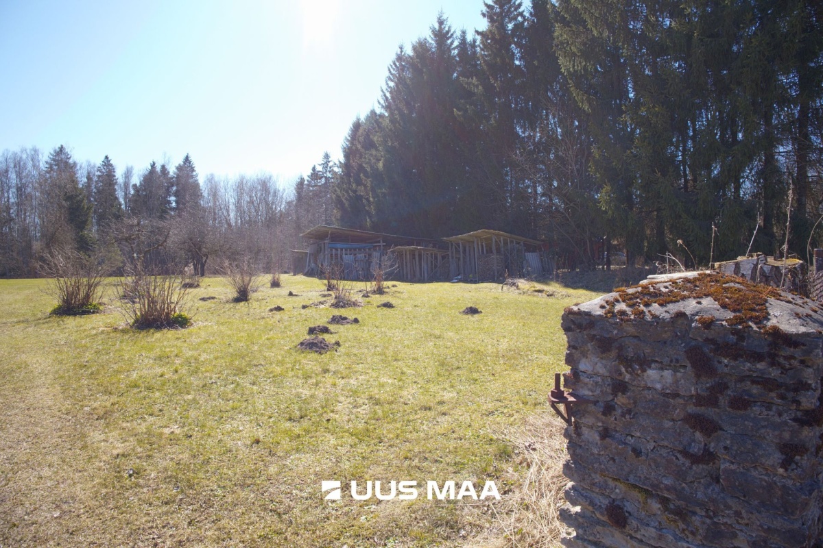 Kehtna vald, Kehtna alevik, Oja