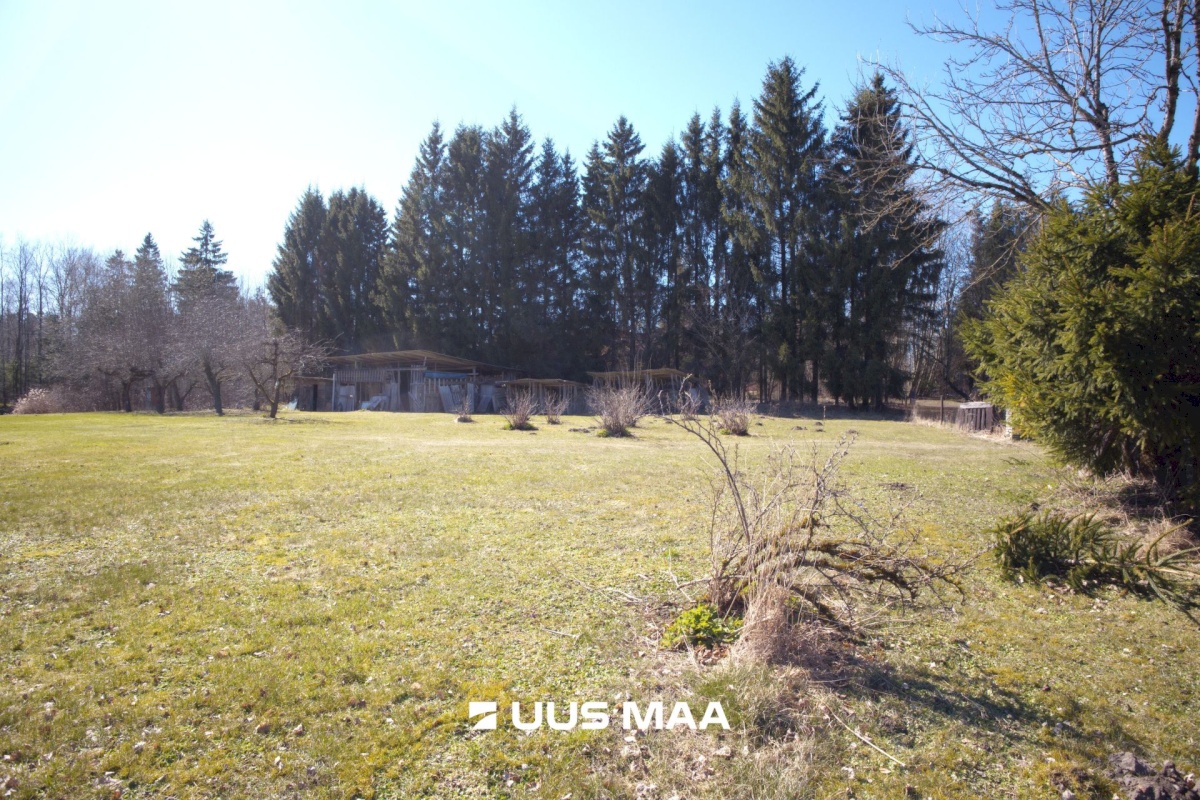 Kehtna vald, Kehtna alevik, Oja