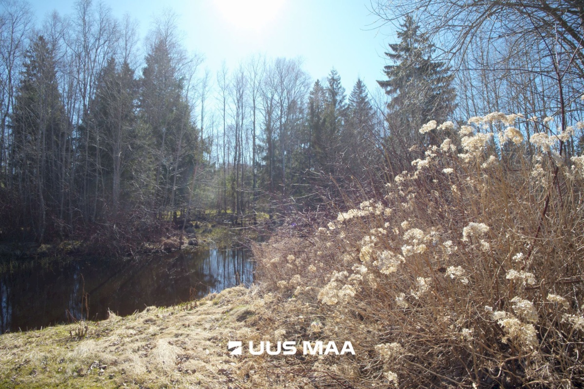 Kehtna vald, Kehtna alevik, Oja