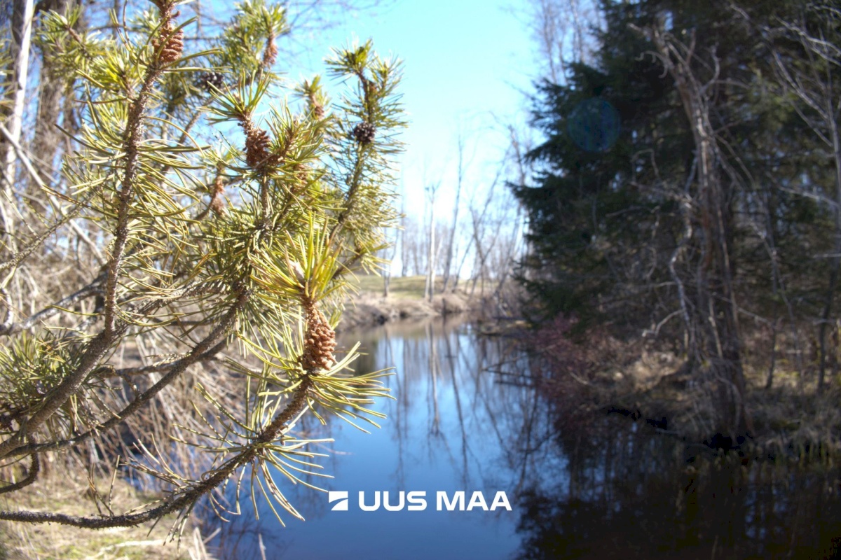 Kehtna vald, Kehtna alevik, Oja