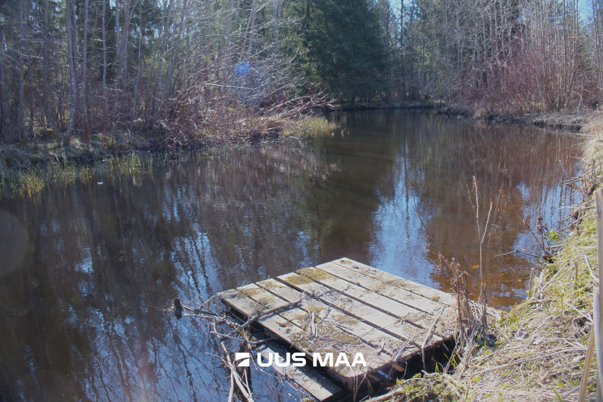 Kehtna vald, Kehtna alevik, Oja