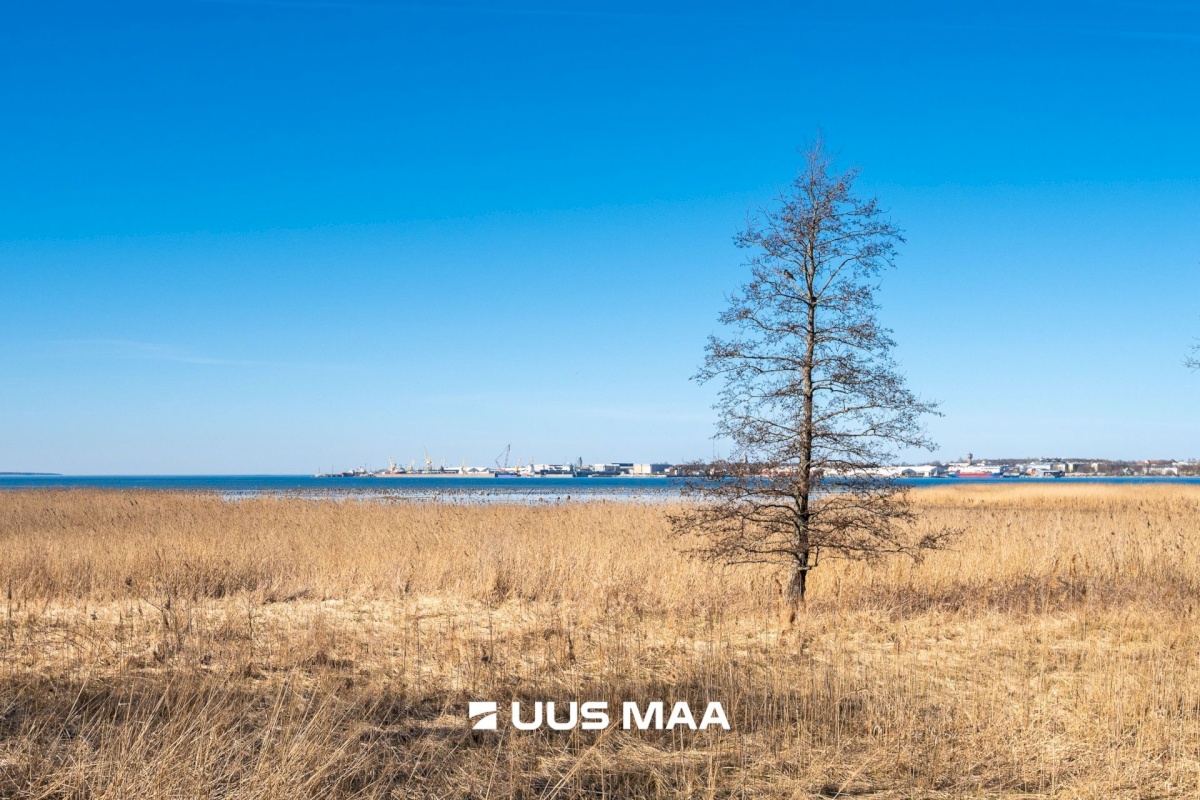 Tallinn, Haabersti linnaosa, Vabaõhumuuseumi tee 2a