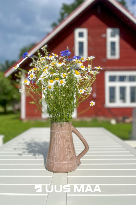 Elva vald, Utukolga küla, Uus-Kerba