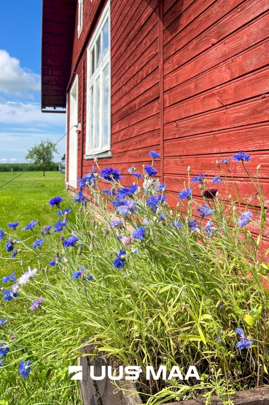 Elva vald, Utukolga küla, Uus-Kerba