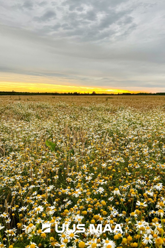 Elva vald, Utukolga küla, Uus-Kerba