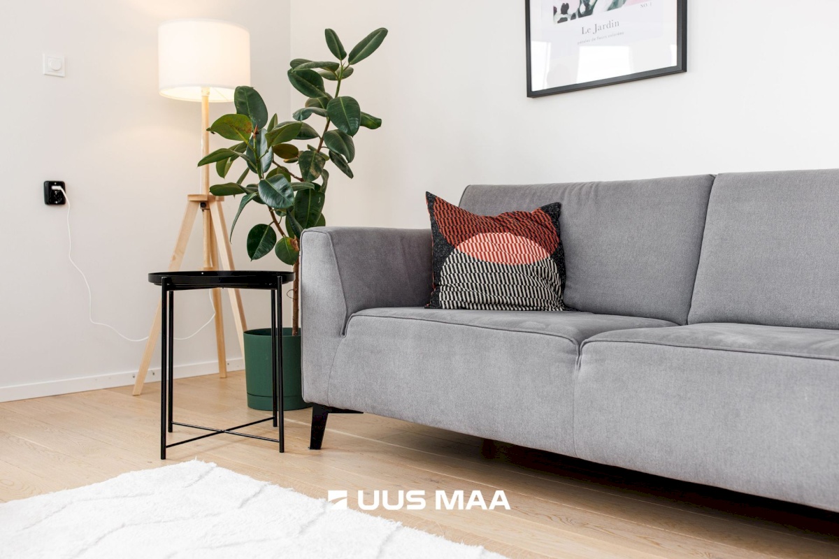 Tallinn, Kesklinna linnaosa, Sibulaküla, Kaupmehe 14