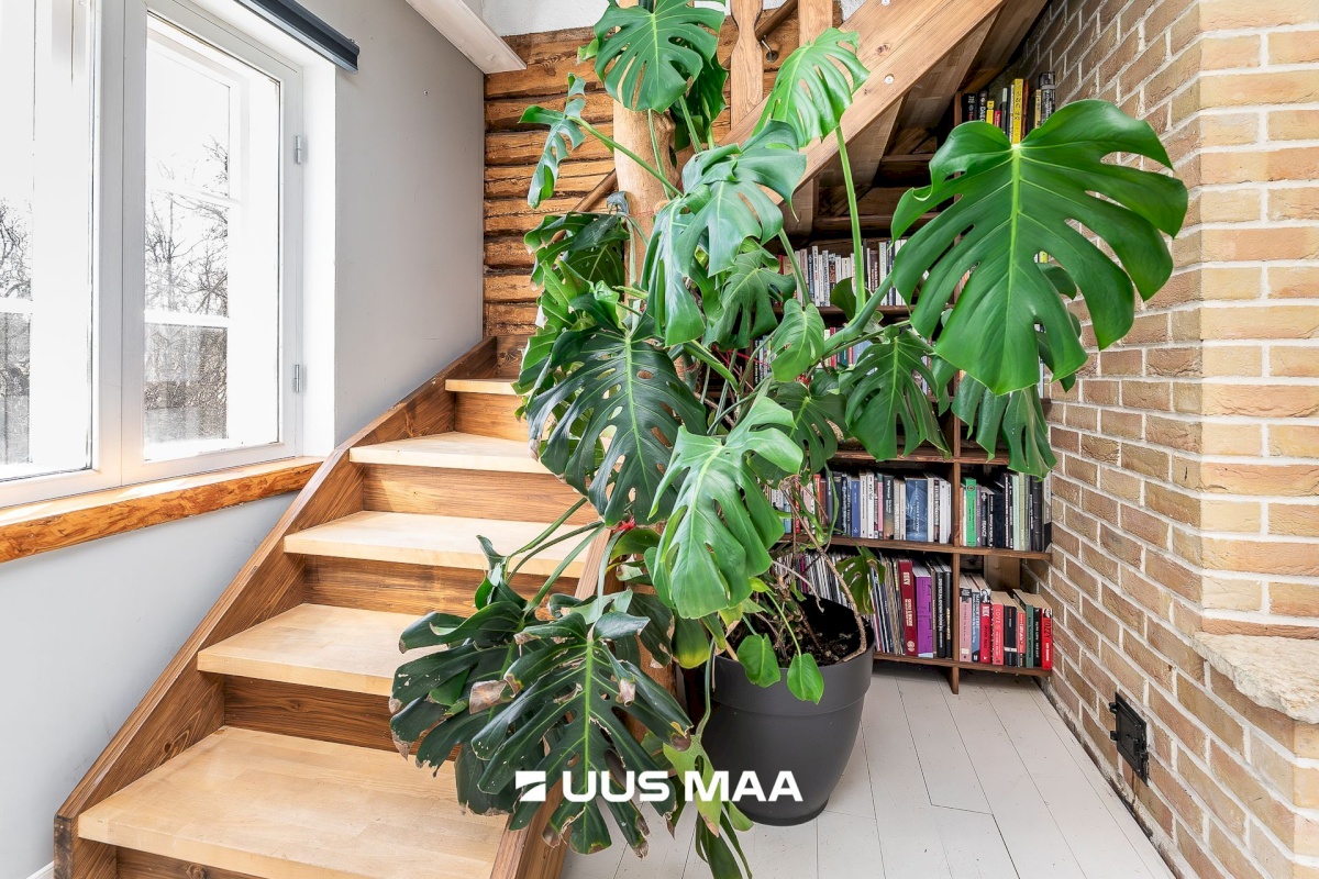 Lääne-Harju vald, Käesalu küla, Pargi