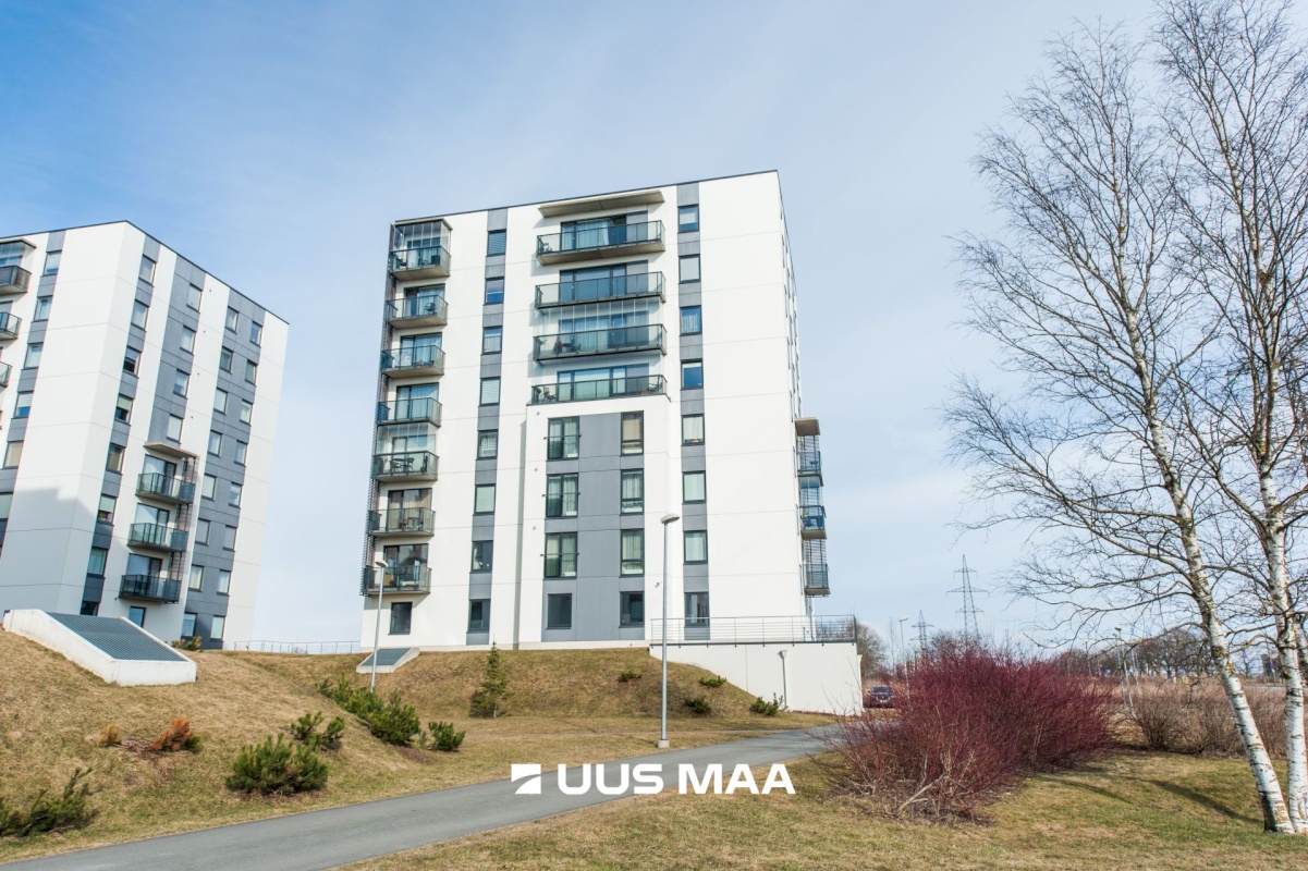 Tallinn, Lasnamäe linnaosa, Paevälja, Liikuri 41/1