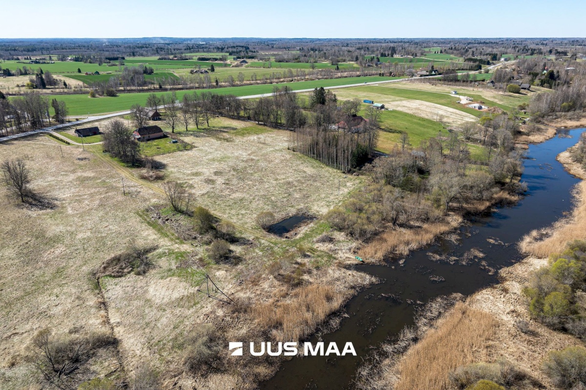 Viljandi vald, Tänassilma küla, Puide