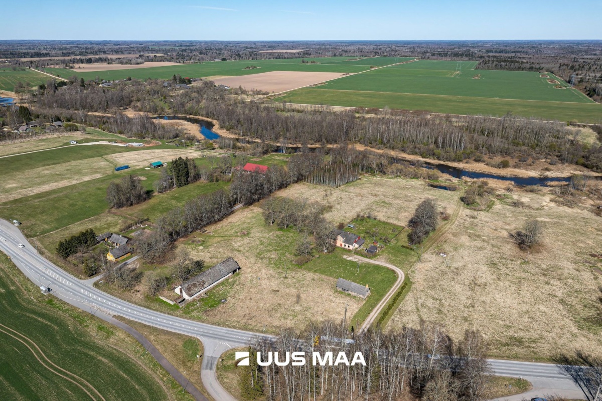 Viljandi vald, Tänassilma küla, Puide