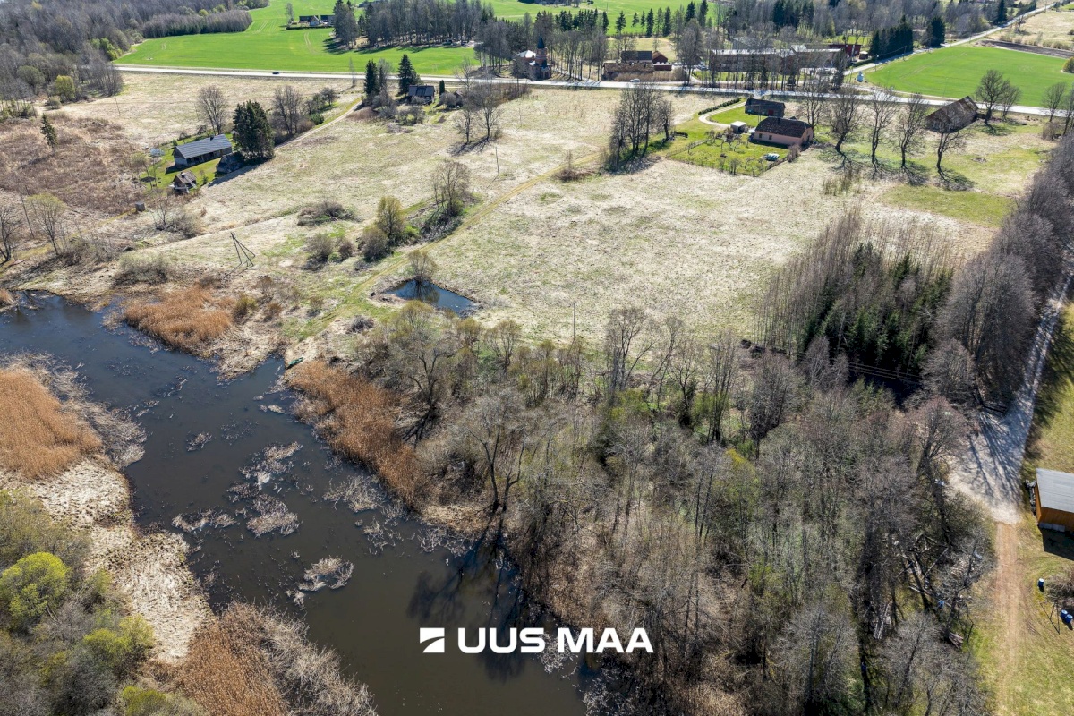 Viljandi vald, Tänassilma küla, Puide