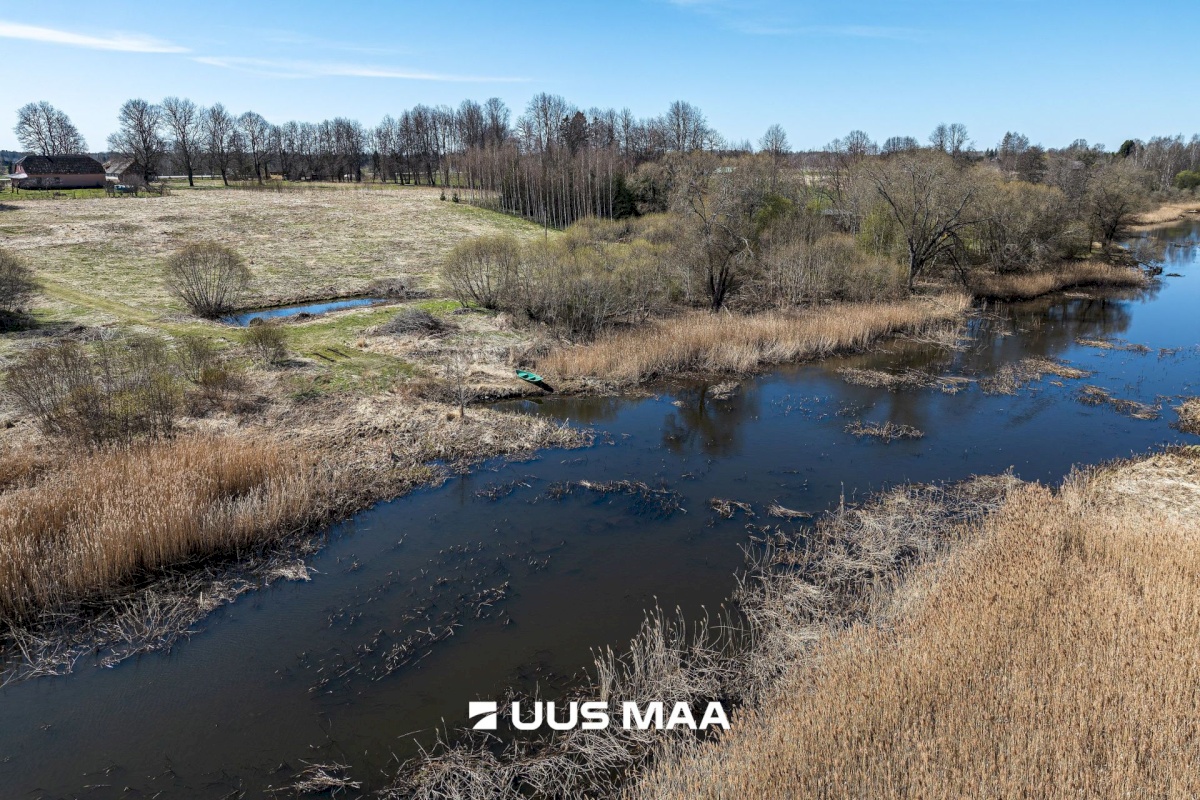 Viljandi vald, Tänassilma küla, Puide