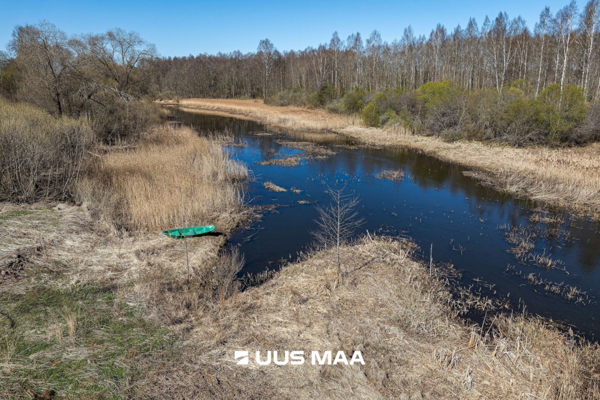 Viljandi vald, Tänassilma küla, Puide