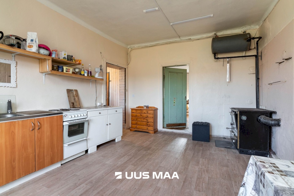 Viljandi vald, Tänassilma küla, Puide