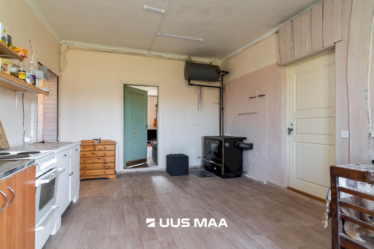 Viljandi vald, Tänassilma küla, Puide