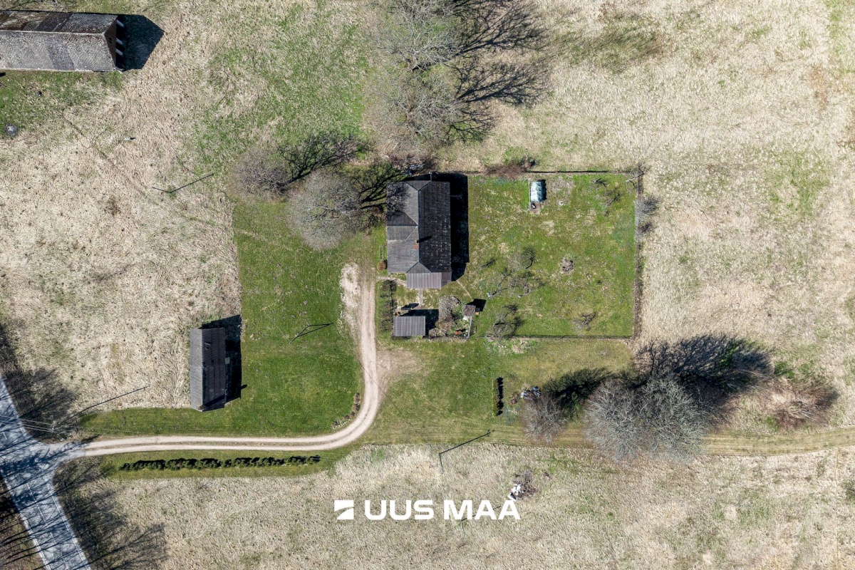 Viljandi vald, Tänassilma küla, Puide