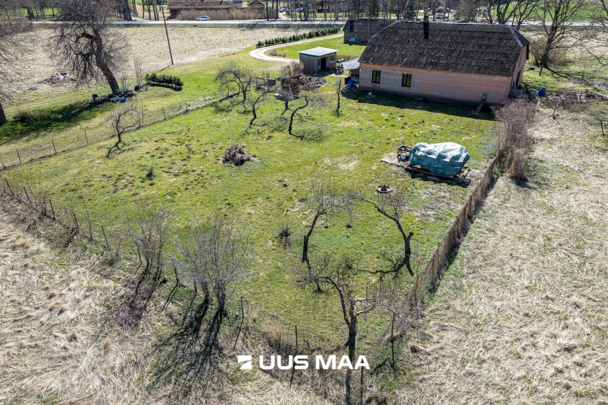 Viljandi vald, Tänassilma küla, Puide