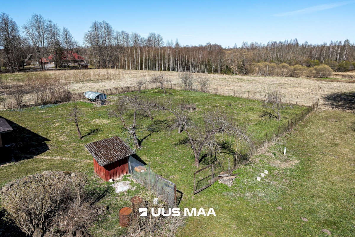 Viljandi vald, Tänassilma küla, Puide