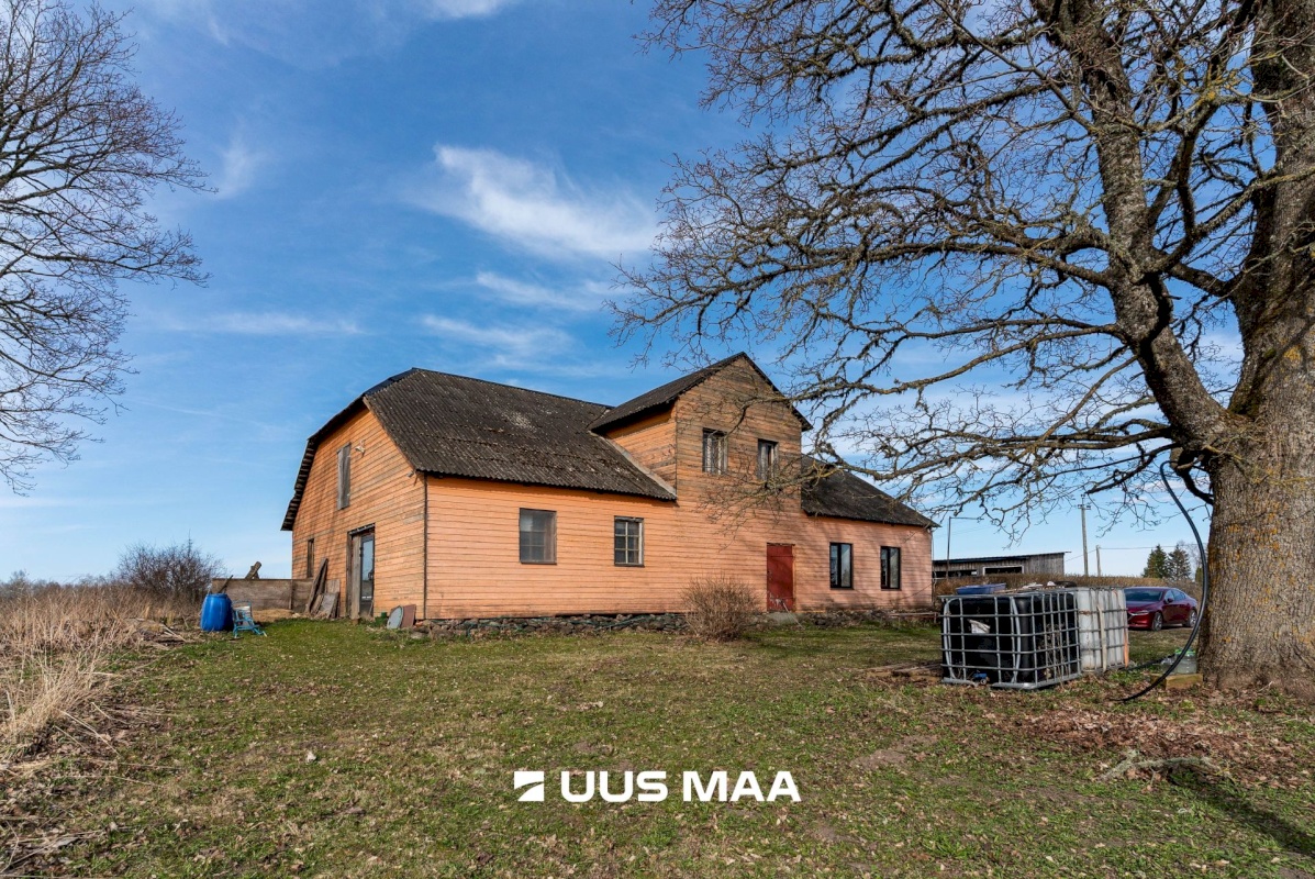 Viljandi vald, Tänassilma küla, Puide