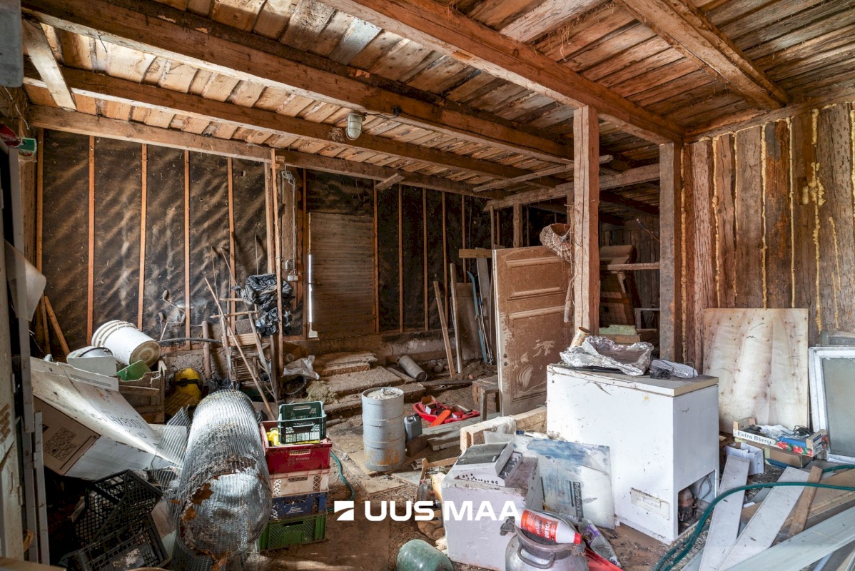 Viljandi vald, Tänassilma küla, Puide