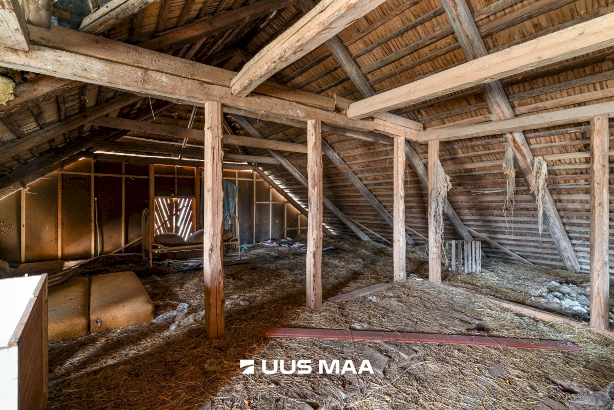 Viljandi vald, Tänassilma küla, Puide