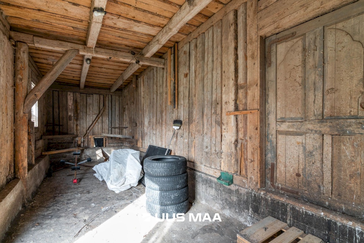 Viljandi vald, Tänassilma küla, Puide