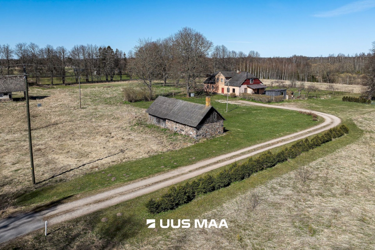 Viljandi vald, Tänassilma küla, Puide