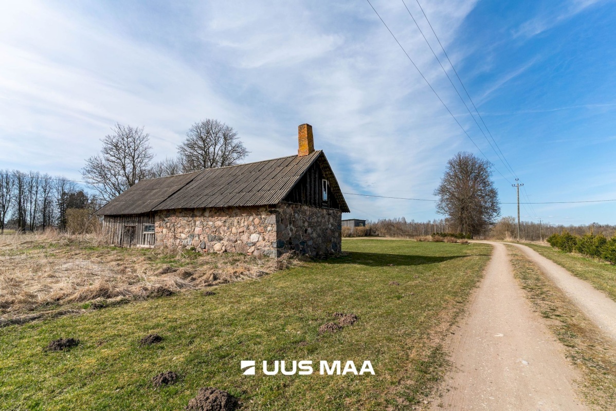 Viljandi vald, Tänassilma küla, Puide