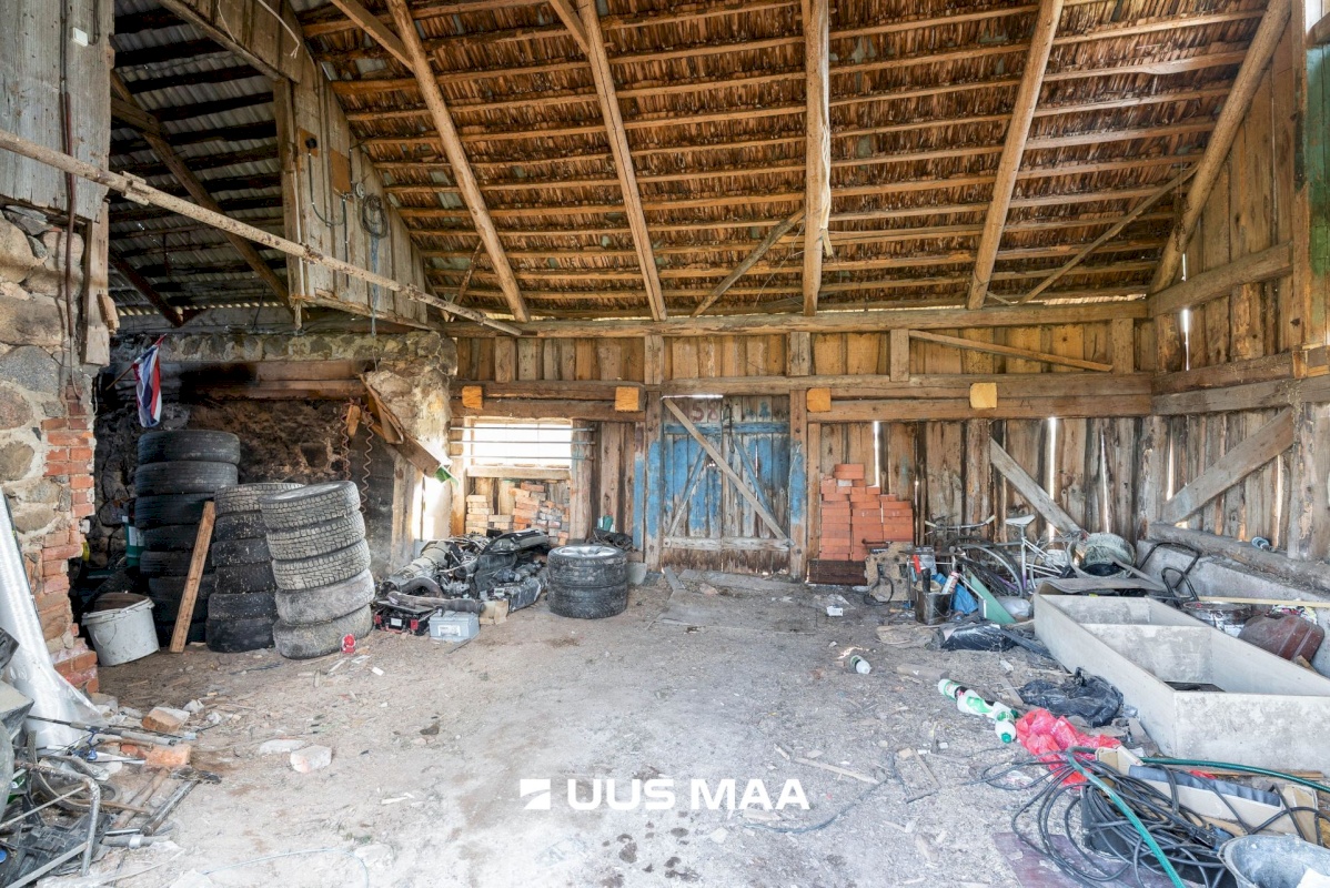 Viljandi vald, Tänassilma küla, Puide