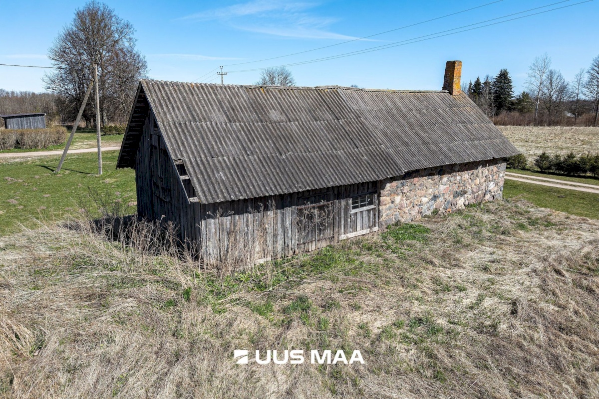 Viljandi vald, Tänassilma küla, Puide