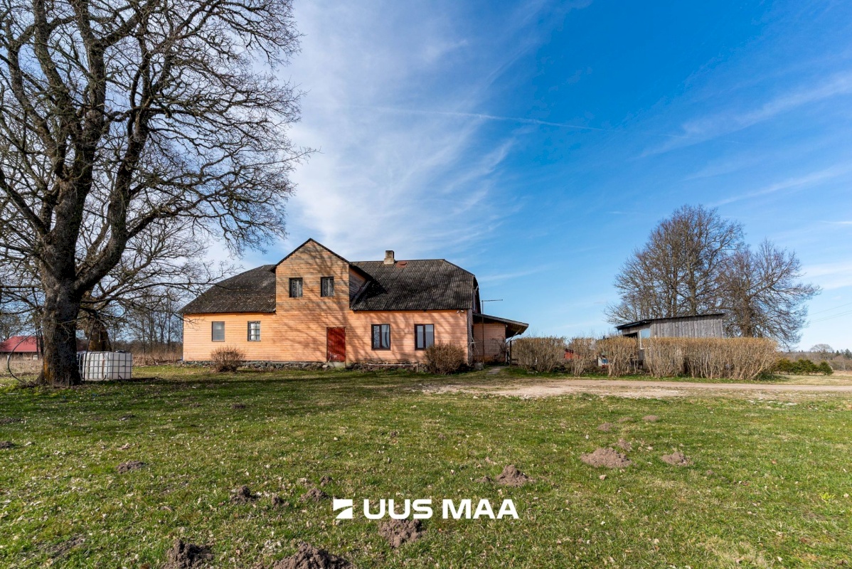 Viljandi vald, Tänassilma küla, Puide