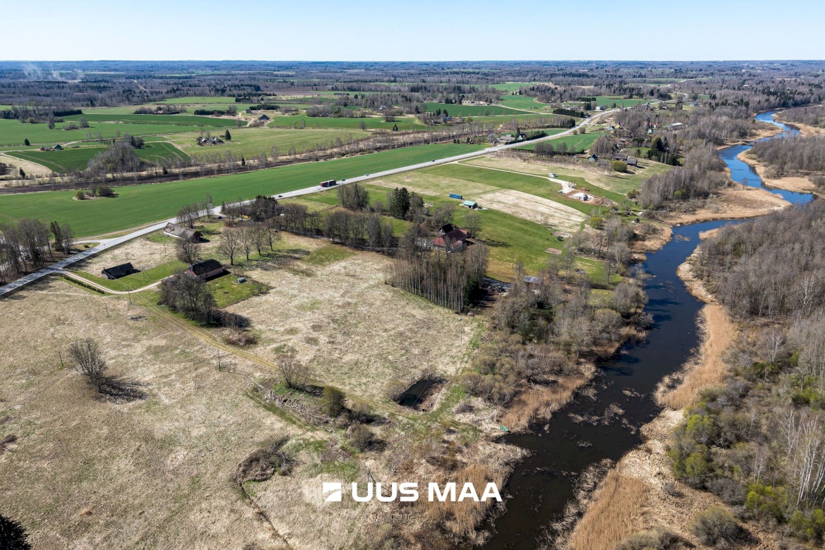 Viljandi vald, Tänassilma küla, Puide