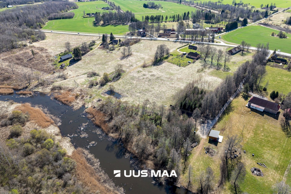 Viljandi vald, Tänassilma küla, Puide