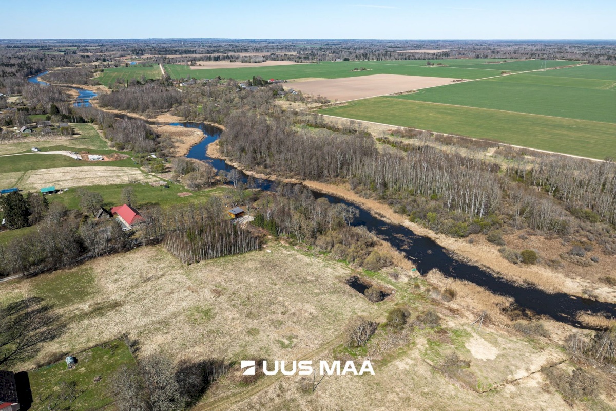 Viljandi vald, Tänassilma küla, Puide