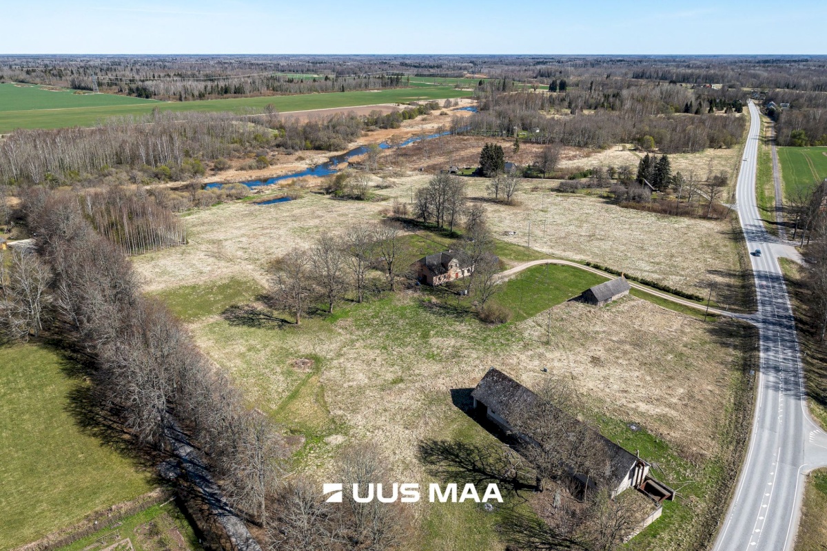 Viljandi vald, Tänassilma küla, Puide