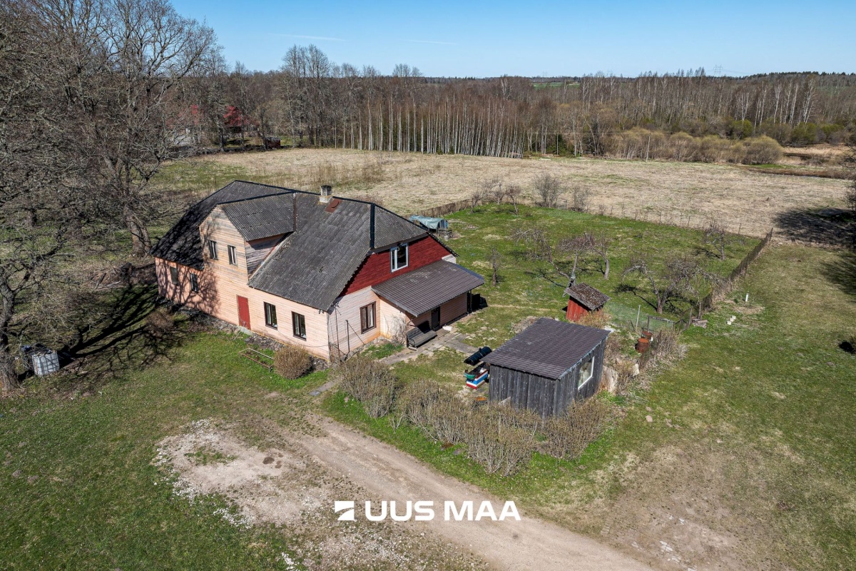 Viljandi vald, Tänassilma küla, Puide