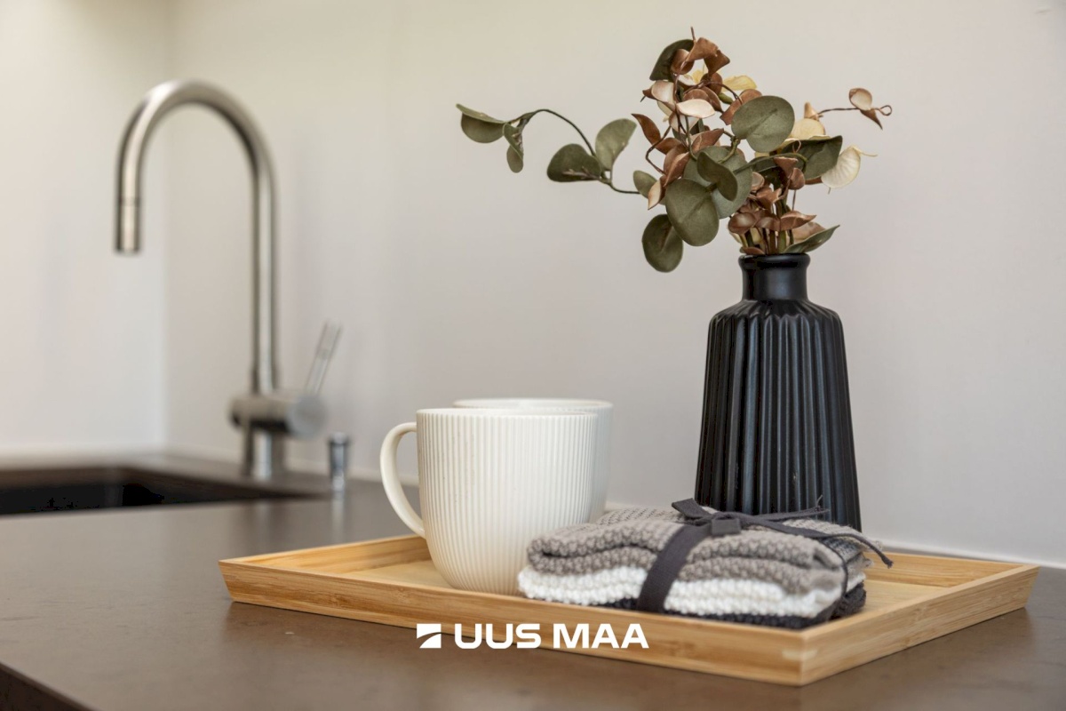 Tallinn, Kesklinna linnaosa, Kadriorg, F.J. Wiedemanni 11