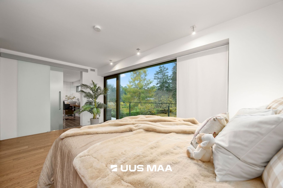 Viimsi vald, Tammneeme küla, Tammneeme tee 37