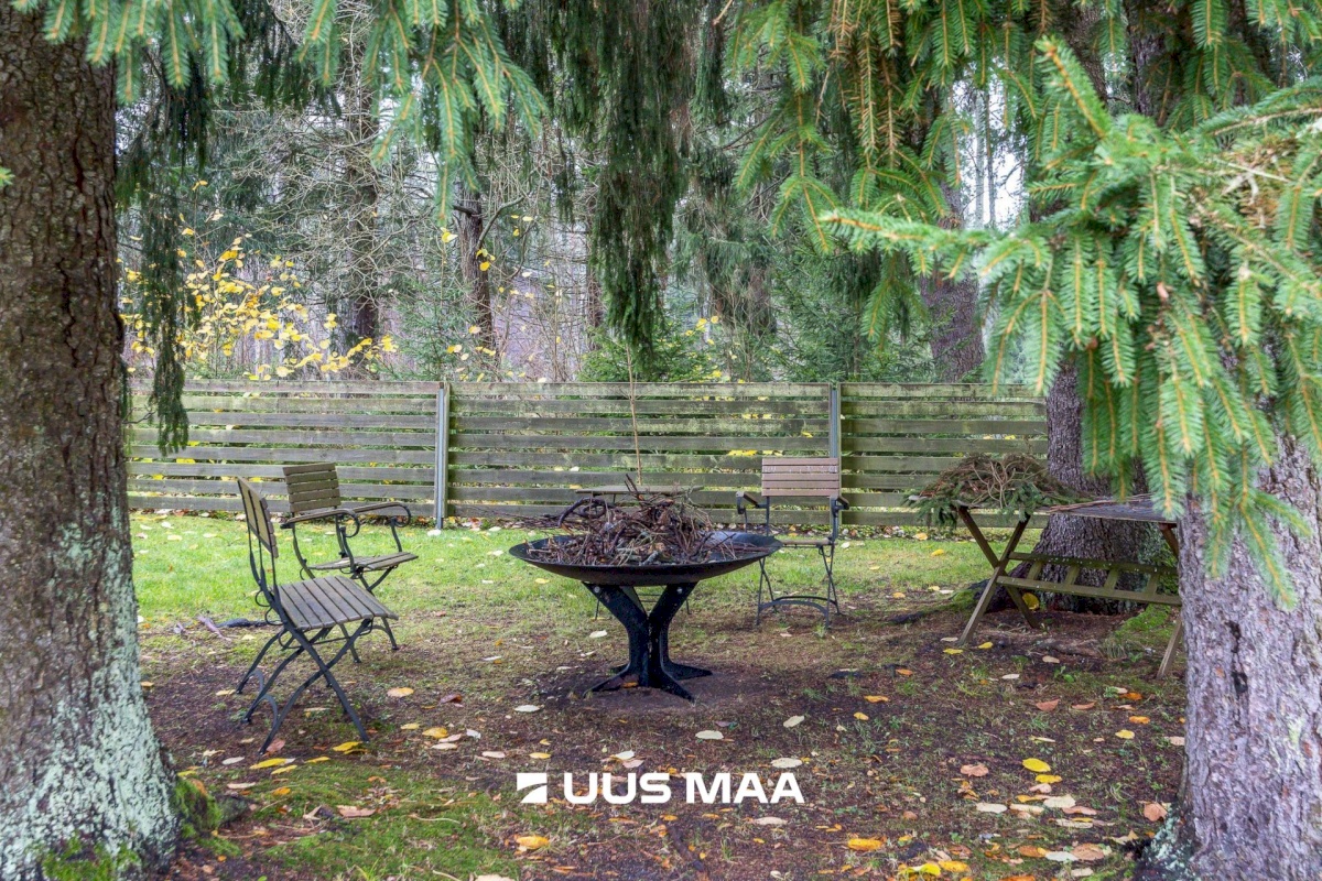 Viimsi vald, Tammneeme küla, Tammneeme tee 37