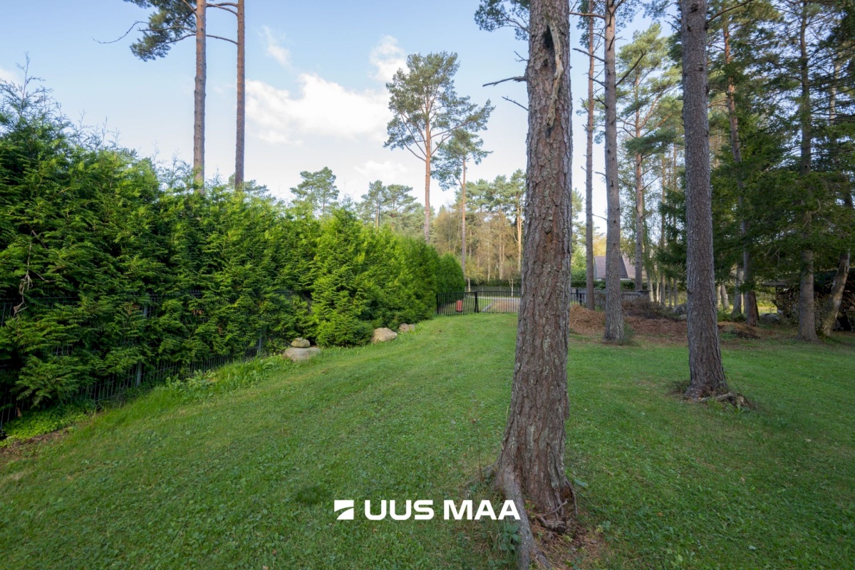 Viimsi vald, Tammneeme küla, Teigari tee 32