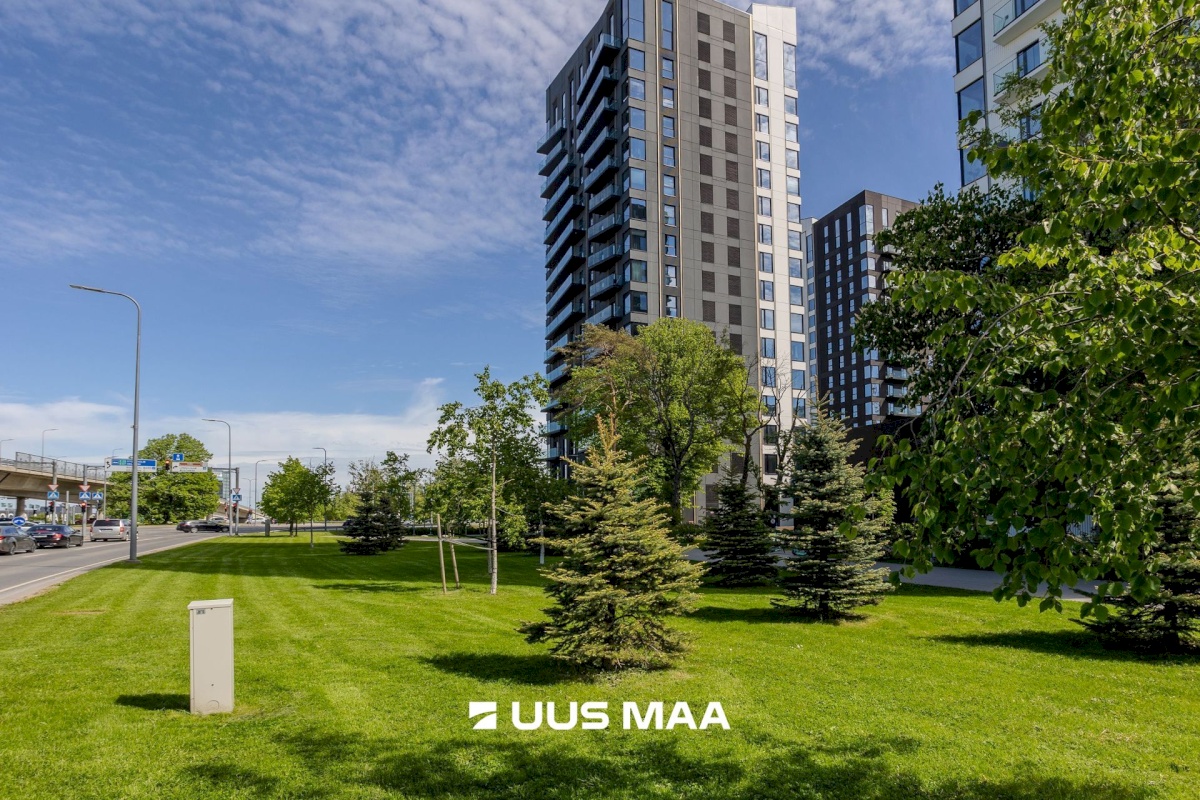 Tallinn, Haabersti linnaosa, Päevalille 8