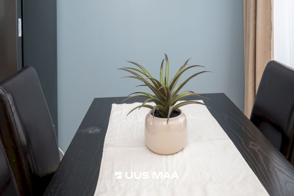 Viimsi vald, Haabneeme alevik, Männi põik 2