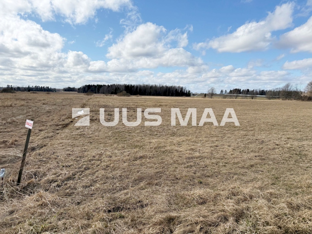 Saku vald, Kajamaa küla