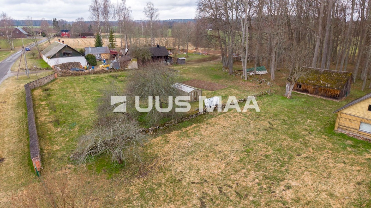 Kambja vald, Suure-Kambja küla, Sinilille