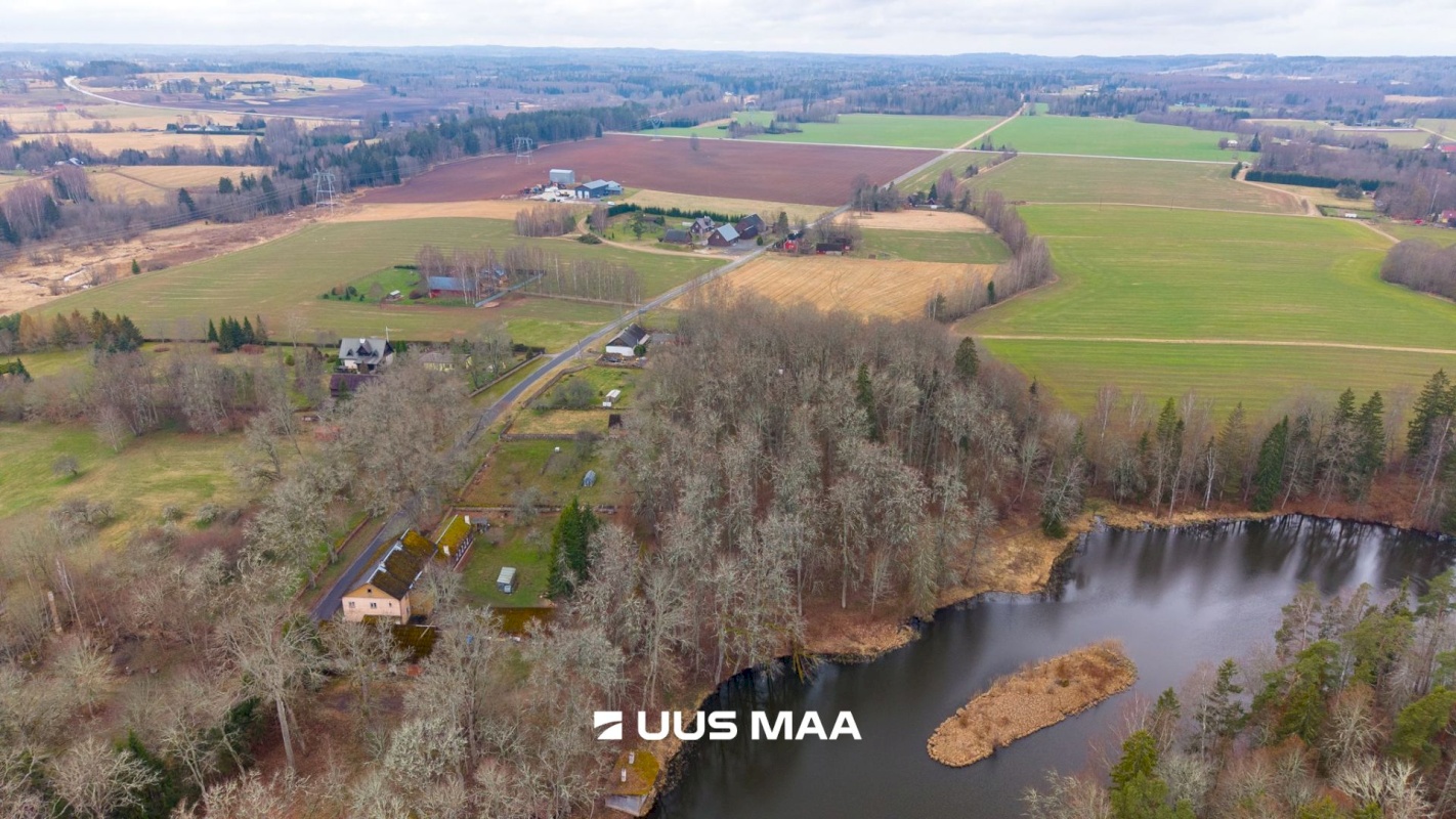 Kambja vald, Suure-Kambja küla, Sinilille